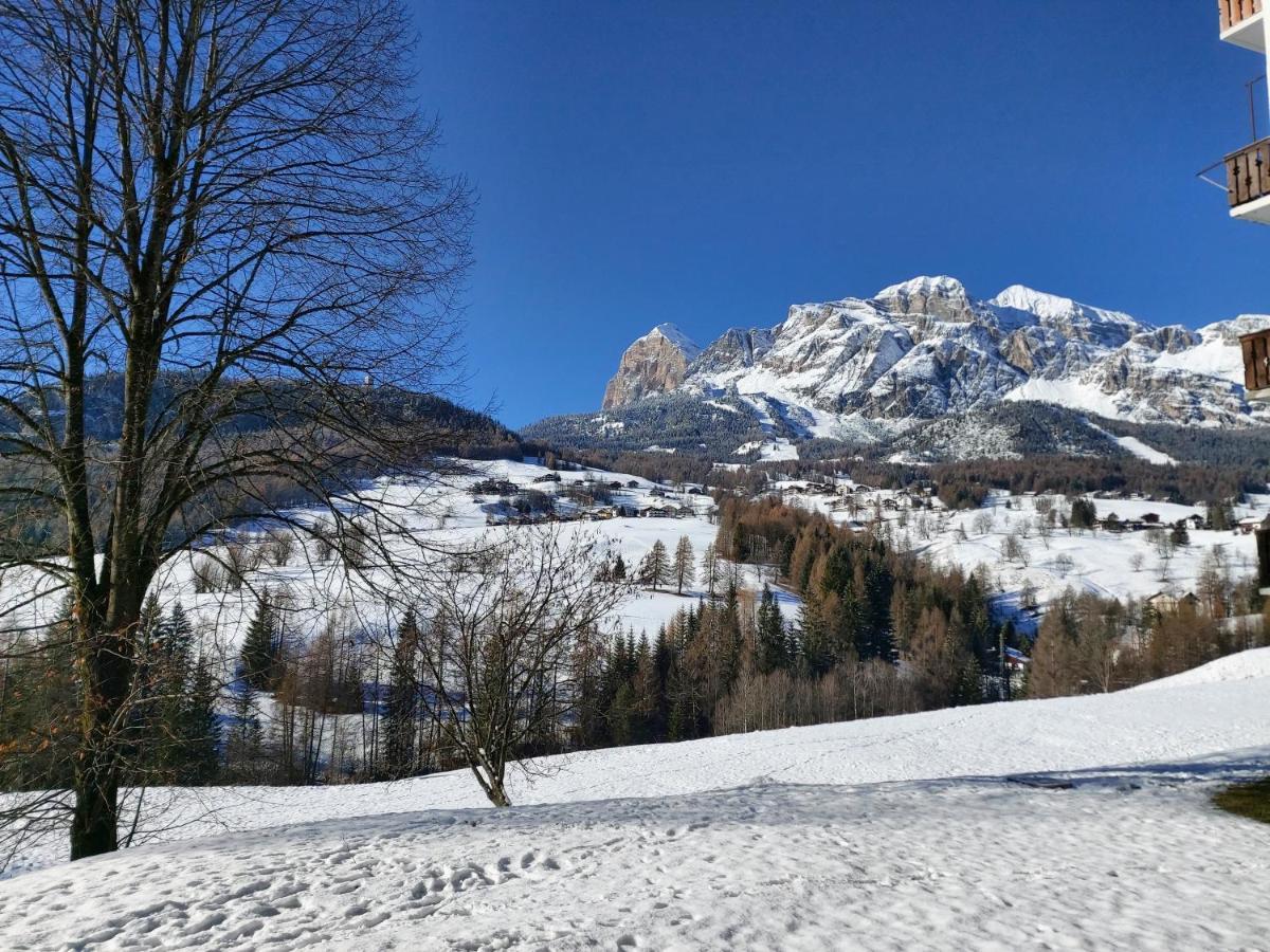 Appartamento Stella Alpina Cortina dʼAmpezzo Exterior foto